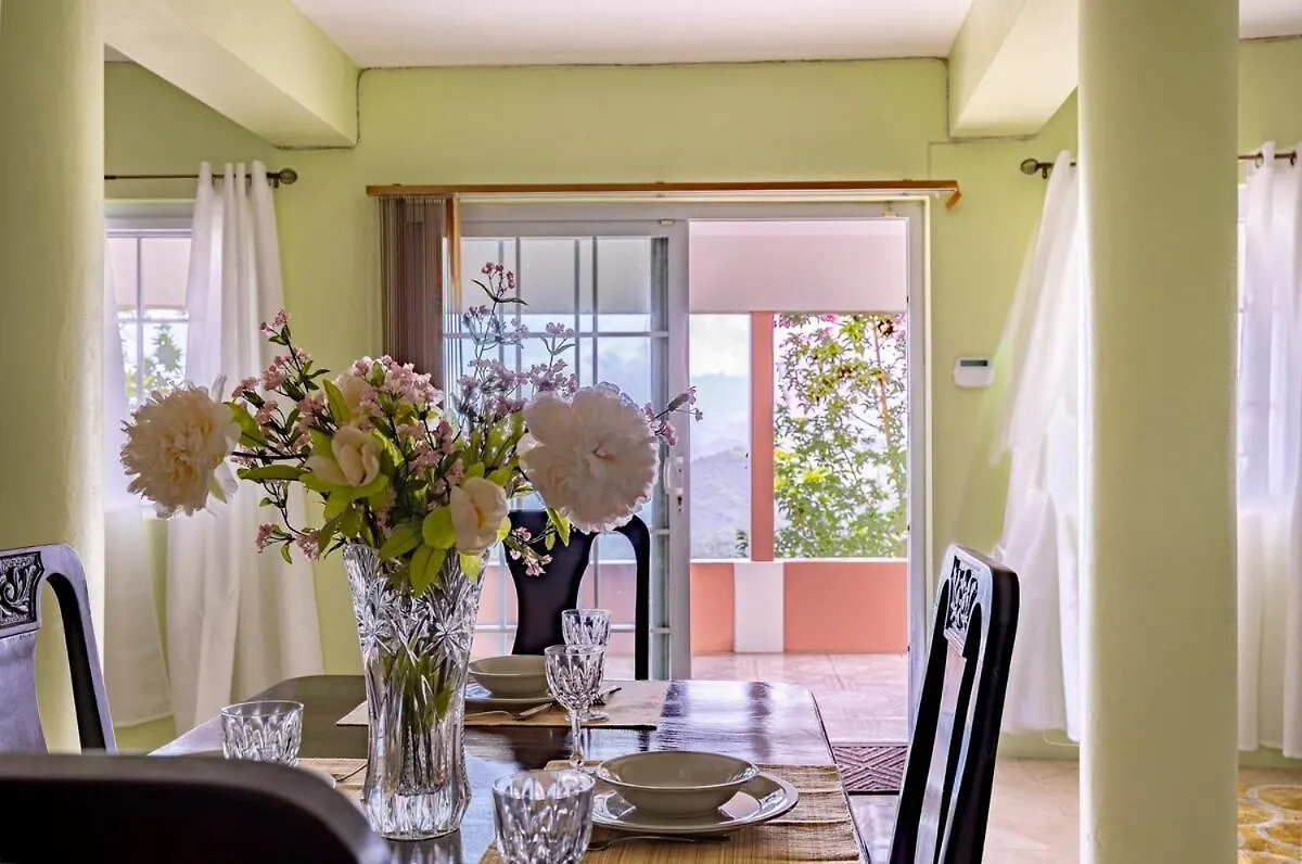 Misty Hills Retreat Apartman Stony Hill Jamaica